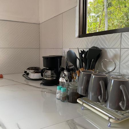 Anluka-House Apartman Puerto Jiménez Kültér fotó