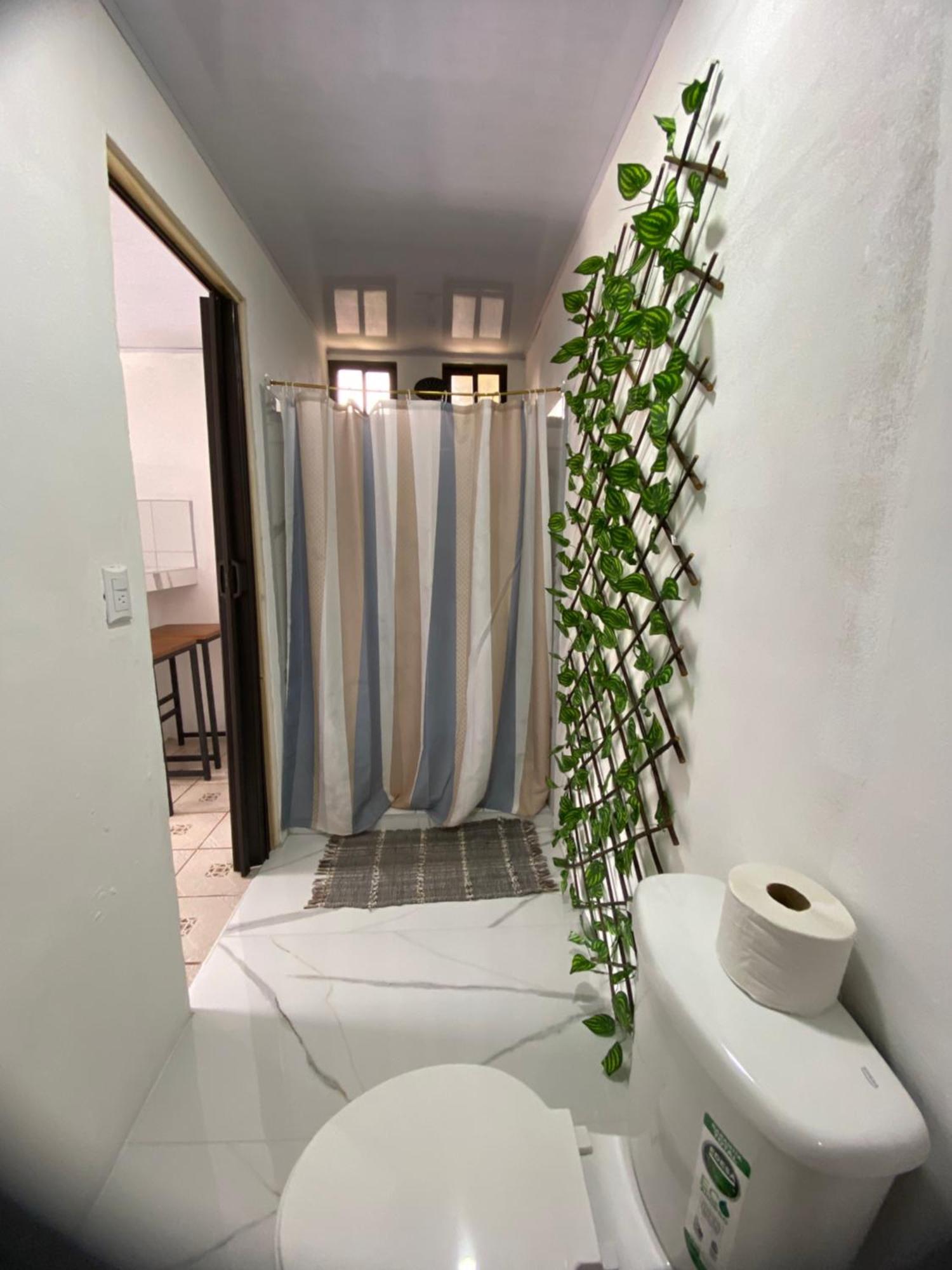 Anluka-House Apartman Puerto Jiménez Kültér fotó